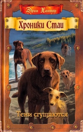 Обложка книги https://1000knig.com/9364-teni-sguschajutsja.html