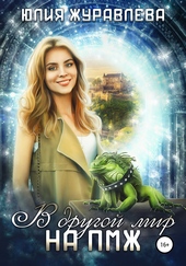 Обложка книги https://1000knig.com/9531-v-drugoj-mir-na-pmzh.html