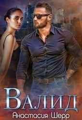 Обложка книги https://1000knig.com/9553-valid.html