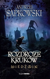 Обложка книги https://1000knig.com/9579-vedmak-perekrestok-voronov-andzhej-sapkovskij.html