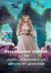 Обложка книги https://1000knig.com/9661-vozrozhdenie-zolotoj-ili-dobro-pozhalovat-na-fakultet-drakonov.html