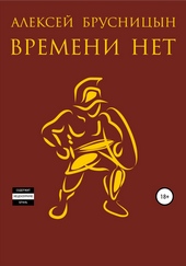 Обложка книги https://1000knig.com/9678-vremeni-net.html