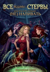 Обложка книги https://1000knig.com/9692-vse-vedmy-stervy-ili-rektoru-bolshe-ne-nalivat-si.html