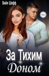 Обложка книги https://1000knig.com/9738-za-tihim-donom-si.html
