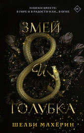 Обложка книги https://1000knig.com/9867-zmej-i-golubka.html