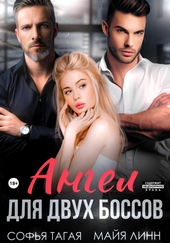 Обложка книги https://1000knig.com/10052-angel-dlja-dvuh-bossov.html