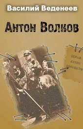 Обложка книги https://1000knig.com/10080-anton-volkov-knigi-1-4.html