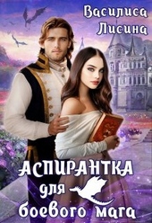 Обложка книги https://1000knig.com/10105-aspirantka-dlja-boevogo-maga.html