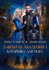 Обложка книги https://1000knig.com/10151-batarejka-dlja-maga.html