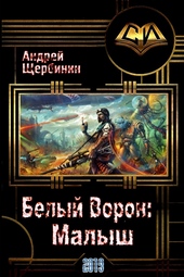 Обложка книги https://1000knig.com/10187-belyj-voron-malysh.html