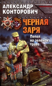 Обложка книги https://1000knig.com/10462-chernaja-zarja-pepel-na-zelenoj-trave.html
