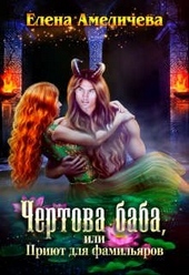 Обложка книги https://1000knig.com/10487-chertova-baba-ili-prijut-dlja-familjarov.html