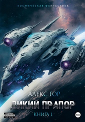 Обложка книги https://1000knig.com/10701-dikij-prapor.html