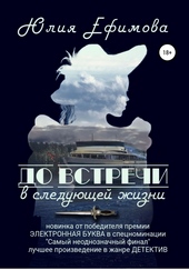 Обложка книги https://1000knig.com/10730-do-vstrechi-v-sledujuschej-zhizni.html