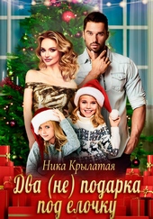 Обложка книги https://1000knig.com/10859-dva-ne-podarka-pod-elochku.html