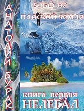 Обложка книги https://1000knig.com/10980-jelf-na-ploskoj-zemle-kniga-1-nelegal.html
