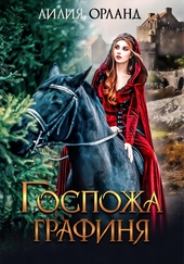 Обложка книги https://1000knig.com/11225-gospozha-grafinja.html
