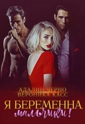 Обложка книги https://1000knig.com/11294-ja-beremenna-malchiki.html