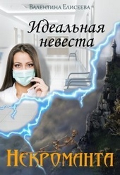 Обложка книги https://1000knig.com/11434-idealnaja-nevesta-nekromanta-si.html
