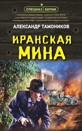 Обложка книги https://1000knig.com/11561-iranskaja-mina.html