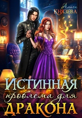 Обложка книги https://1000knig.com/11609-istinnaja-problema-dlja-drakona.html