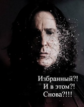 Обложка книги https://1000knig.com/11658-izbrannyj-i-v-jetom-snova-si.html