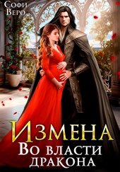 Обложка книги https://1000knig.com/11717-izmena-vo-vlasti-drakona.html
