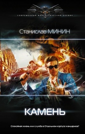 Обложка книги https://1000knig.com/11783-kamen.html