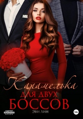 Обложка книги https://1000knig.com/11797-karamelka-dlja-dvuh-bossov.html
