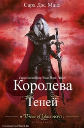 Обложка книги https://1000knig.com/13114-koroleva-tenej-lp.html