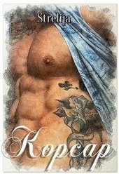 Обложка книги https://1000knig.com/12114-korsar.html