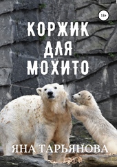 Обложка книги https://1000knig.com/12117-korzhik-dlja-mohito.html