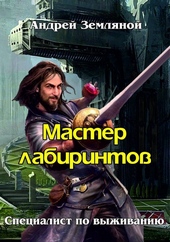 Обложка книги https://1000knig.com/12559-master-labirintov.html
