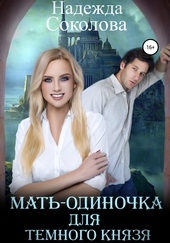 Обложка книги https://1000knig.com/12568-mat-odinochka-dlja-temnogo-knjazja.html