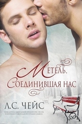 Обложка книги https://1000knig.com/13119-metel-soedinivshaja-nas-lp.html