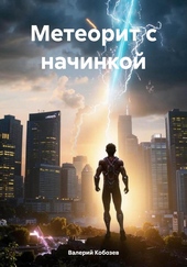 Обложка книги https://1000knig.com/12639-meteorit-s-nachinkoj.html