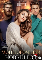 Обложка книги https://1000knig.com/12770-moj-porochnyj-novyj-god.html