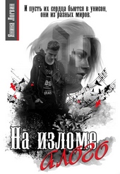 Обложка книги https://1000knig.com/12919-na-izlome-alogo.html