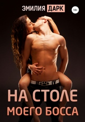 Обложка книги https://1000knig.com/12935-na-stole-moego-bossa.html
