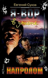 Обложка книги https://1000knig.com/12983-naprolom.html